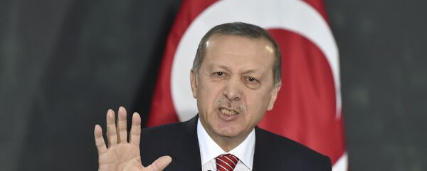 اردوغان از امکان همه پرسی در مورد اعدام در ترکیه سخن گفت اردوغان از امکان همه پرسی در مورد اعدام در ترکیه سخن گفت - اسپوتنیک افغانستان