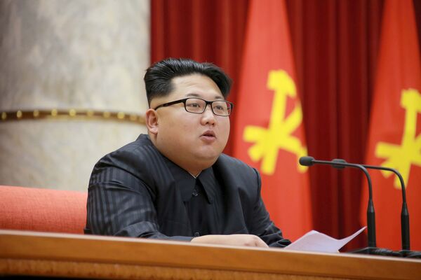 رهبر کوریای شمالی کیم جونگ اون در ملاقات در پیونگ یانگ - اسپوتنیک افغانستان  