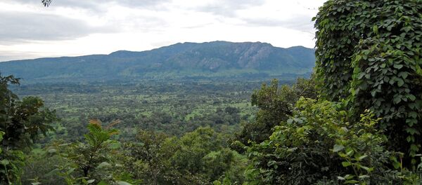 پدر و پسر 40 سال از بمباران امریکایی ها در جنگل پنهان بودند پدر و پسر 40 سال از بمباران امریکایی ها در جنگل پنهان بودند - اسپوتنیک افغانستان