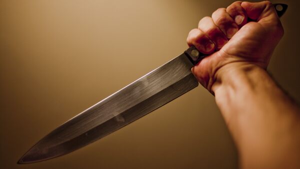 butcher knife - اسپوتنیک افغانستان  