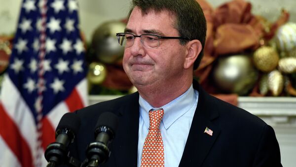 US Defense Secretary Ashton Carter - اسپوتنیک افغانستان  