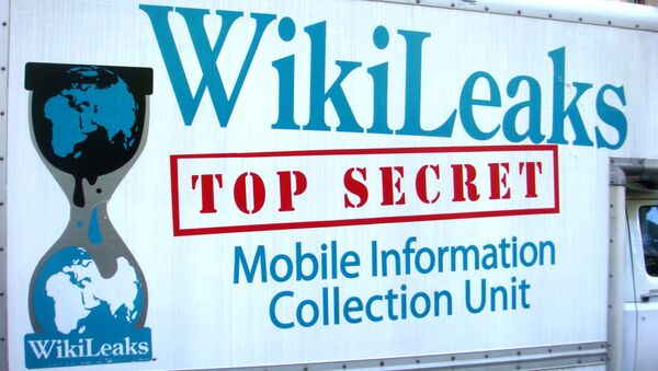 Логотип Wikileaks на фургоне автомобиля - اسپوتنیک افغانستان  