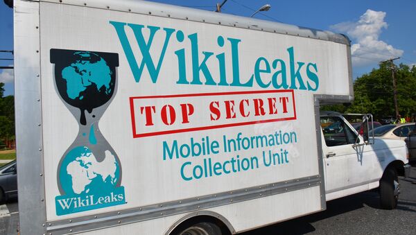 Wikileaks Truck - اسپوتنیک افغانستان  