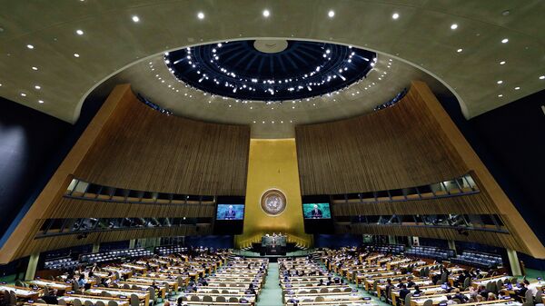 اسامبله عمومی سازمان ملل متحد  - اسپوتنیک افغانستان  