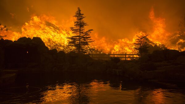 Природные пожары в Калифорнии - اسپوتنیک افغانستان  