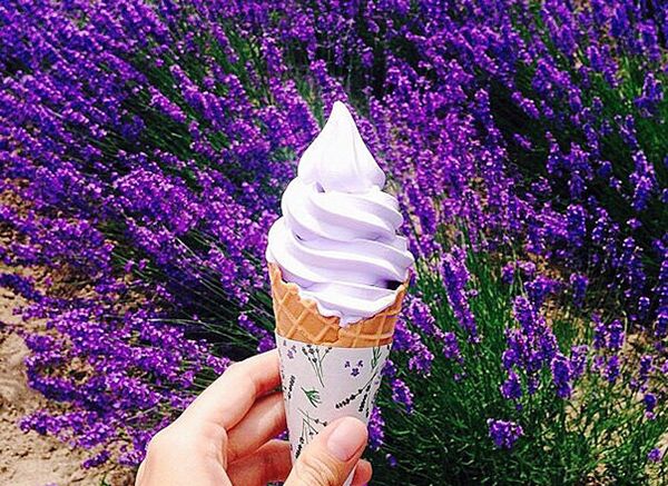 Ice Cream, Japan - اسپوتنیک افغانستان  