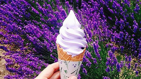 Ice Cream, Japan - اسپوتنیک افغانستان  