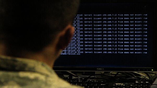 امریکا سیستم بازدارنده را در فضای مجازی ایجاد می کند - اسپوتنیک افغانستان  