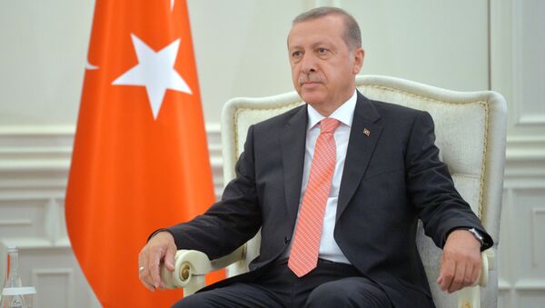 اردوغان گفت که چرا به پوتین نوشت - اسپوتنیک افغانستان  