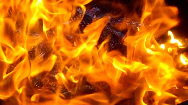 آتش زدن حدود 5 میلیون افغانی بانک نوت فرسوده در سال در افغانستان - اسپوتنیک افغانستان  