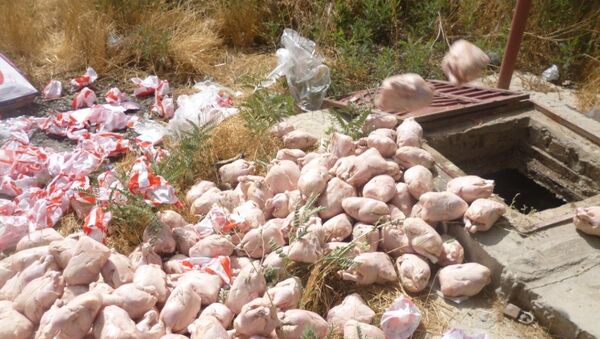 از فروش 13500 مرغ حرام شده (خود مرده) در هرات جلوگیری شد - اسپوتنیک افغانستان  