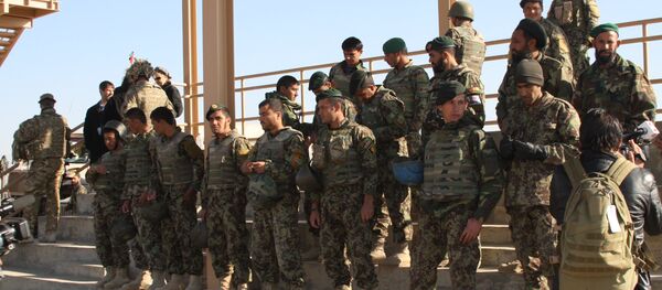 بازداشت معاون فرمانده عمومی طالبان در هلمند بازداشت معاون فرمانده عمومی طالبان در هلمند - اسپوتنیک افغانستان