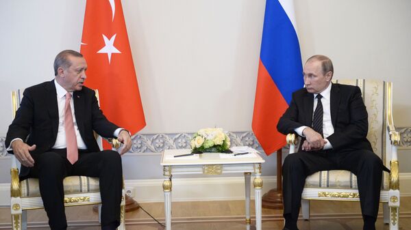 کارشناس:درملاقات ولادیمیر پوتین با اردوغان میتوان ازدست یابی موفقیت در مسله سوریه انتظار داشت - اسپوتنیک افغانستان  