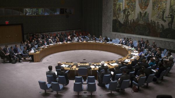 روسیه بیانیه شورای امنیت در مورد ادلب را وتو کرد - اسپوتنیک افغانستان  