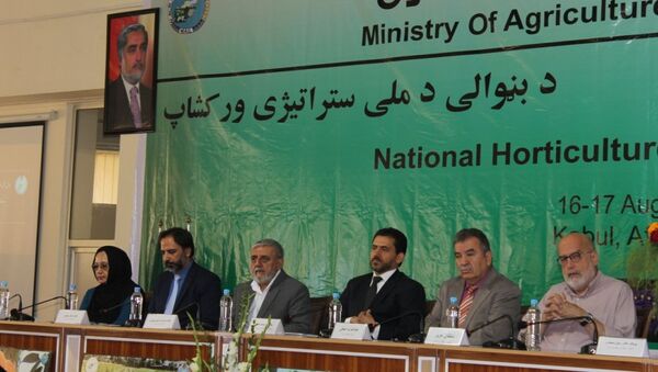 سی و چهار درصد تولیدات داخلی افغانستان متکی به محصولات باغ‌داری است - اسپوتنیک افغانستان  