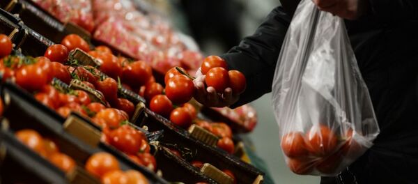 Покупатель выбирает помидоры Покупатель выбирает помидоры - اسپوتنیک افغانستان