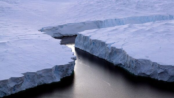 Льдины у берега Нокса в Антарктиде - اسپوتنیک افغانستان  