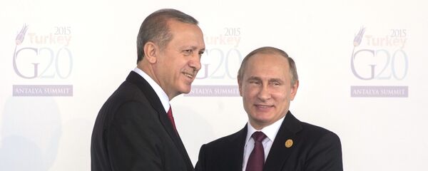 پوتین و اردوغان روئسای جمهور روسیه و ترکیه پوتین و اردوغان روئسای جمهور روسیه و ترکیه - اسپوتنیک افغانستان