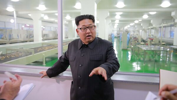 Лидер КНДР Ким Чен Ын на фабрике по производству крахмала из кукурузы в Пхеньяне - اسپوتنیک افغانستان  