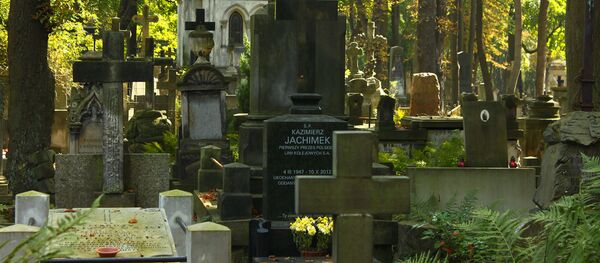 Повонзковское кладбище в Варшаве Повонзковское кладбище в Варшаве - اسپوتنیک افغانستان