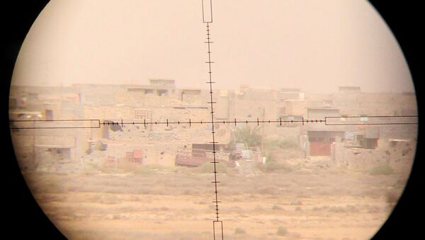 Вид на восточную окраину Иракского города Эль-Фаллуджа через снайперский прицел - اسپوتنیک افغانستان  