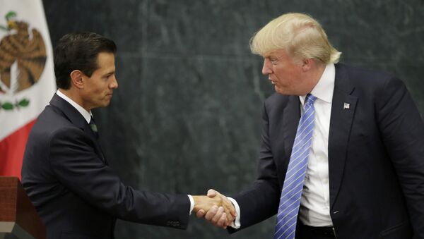 U.S. presidential nominee Trump and Mexico's President Pena Nieto shake hands in Mexico City - اسپوتنیک افغانستان  