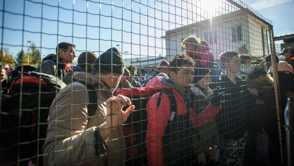پیشنهاد ایجاد مرکز بسته برای پذیرش مهاجران در فرانسه و اسپانیا - اسپوتنیک افغانستان  