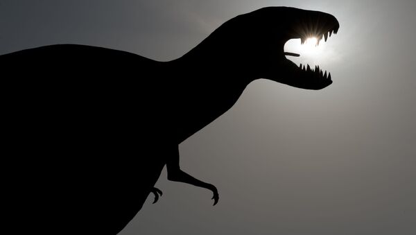 کشف فسیل دایناسور 146 میلیون ساله در چین - اسپوتنیک افغانستان  