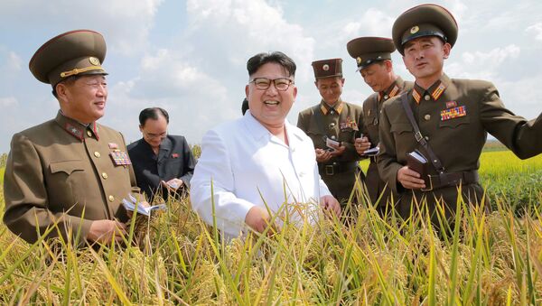 Лидер КНДР Ким Чен Ын инспектирует сельскохозяйственные угодья - اسپوتنیک افغانستان  