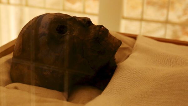 کشف گورستان باستانی با جسد مومیایی شده - اسپوتنیک افغانستان  