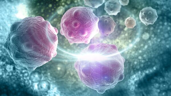 Компьютерная модель раковых клеток - اسپوتنیک افغانستان  