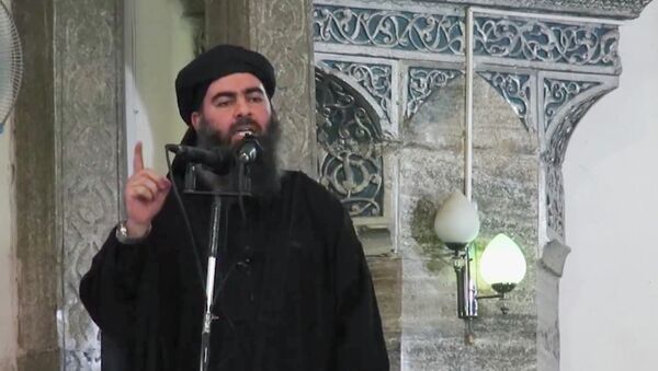 ایالات متحده: رهبر داعش زنده است - اسپوتنیک افغانستان  