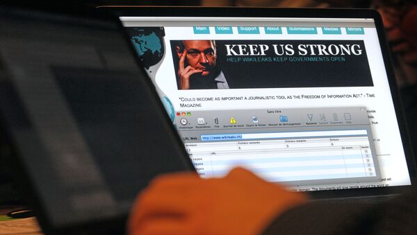 Компьютеры с сайтом WikiLeaks - اسپوتنیک افغانستان  