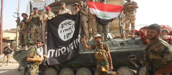 دستگیری یک عضو ارشد داعش در عراق  - اسپوتنیک افغانستان  