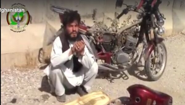 حمیدزی لالی: برادر رئیس مجلس سنا مردان انتحاری را نگهداری می کند - اسپوتنیک افغانستان  
