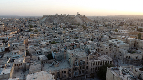 شهر حلب - اسپوتنیک افغانستان  