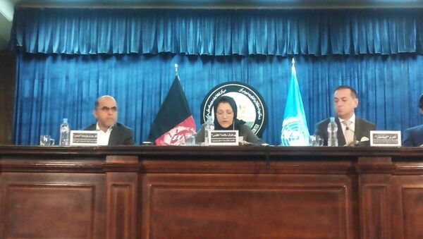 میزان تولید مواد مخدر در افغانستان امسال به 4800 تن خواهد رسید - اسپوتنیک افغانستان  