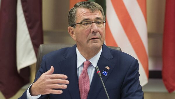 US Secretary of Defense Ashton Carter hosts defense ministers of the Global Coalition to Counter ISIL at Joint Base Andrews in Maryland, July 20, 2016 - اسپوتنیک افغانستان  