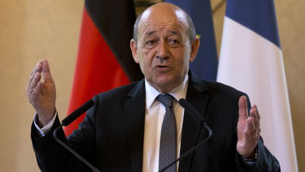 ژان ایو ل داین وزیر خارجه فرانسه - اسپوتنیک افغانستان  