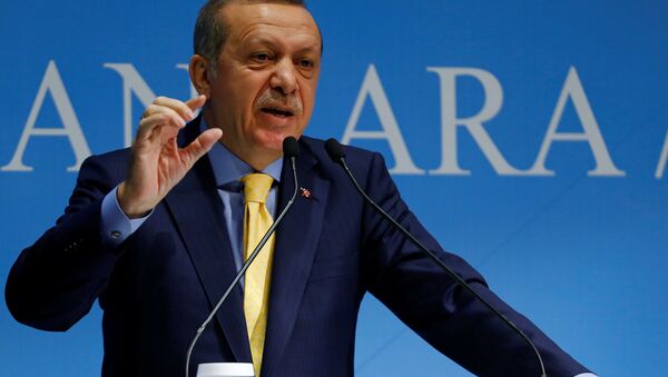 Turkish President Tayyip Erdogan addresses the audience during a meeting in Ankara, Turkey, October 3, 2016. Picture taken October 3, 2016. - اسپوتنیک افغانستان  