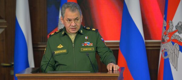 شایگو: مسوولیت سقوط طیاره و مرگ نظامیان روسی بهدوش اسرائیل است شایگو: مسوولیت سقوط طیاره و مرگ نظامیان روسی بهدوش اسرائیل است - اسپوتنیک افغانستان