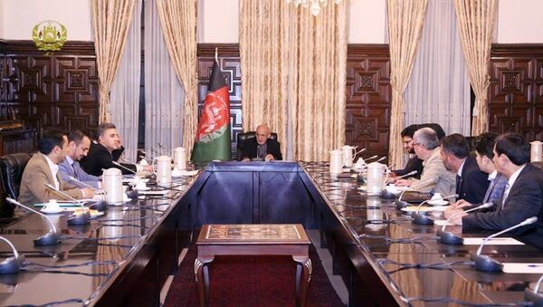سیاسیون برای دفاع از نظام اعلام آمادگی کردند - اسپوتنیک افغانستان  