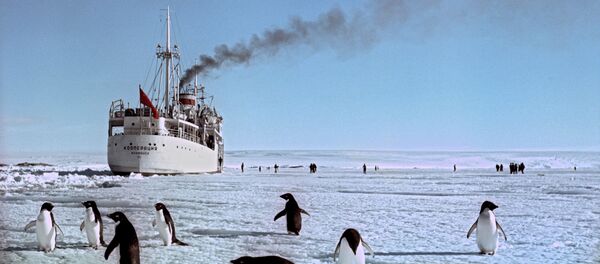 ‏ قطب جنوب - اسپوتنیک افغانستان  