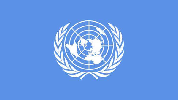 UN - اسپوتنیک افغانستان  