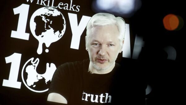 Сооснователь WikiLeaks Джулиан Ассанж дает удаленную пресс-конференцию - اسپوتنیک افغانستان  