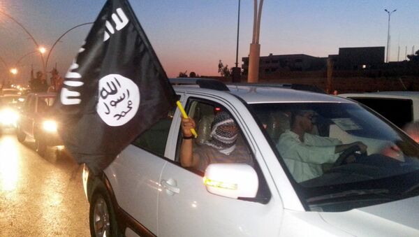 نیروهای عراقی: کاندید بازداشت‌شده رهبری داعش بانک اطلاعات است - اسپوتنیک افغانستان  