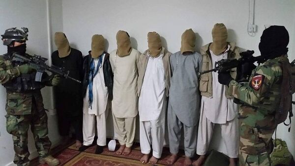 هشت تروریست در کابل و بغلان بازداشت شدند - اسپوتنیک افغانستان  