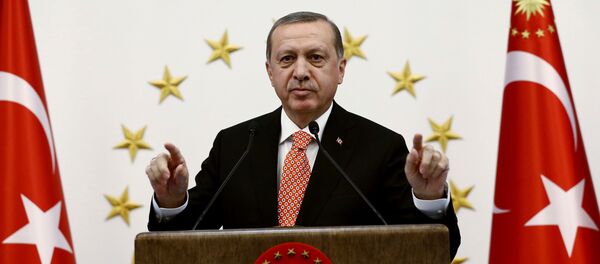 اردوغان خشم مقامات اسرائیل را برانگیخت - اسپوتنیک افغانستان  