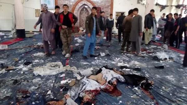 در حمله تروریستی امروز 4 نفر دست داشتند - اسپوتنیک افغانستان  