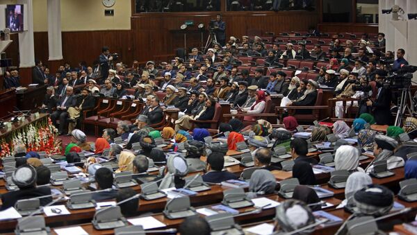 نمایندگان از کمک های حالات اضطرار استفاده سیاسی می کردند - وزیر دولت در امور رسیدگی به حوادث - اسپوتنیک افغانستان  